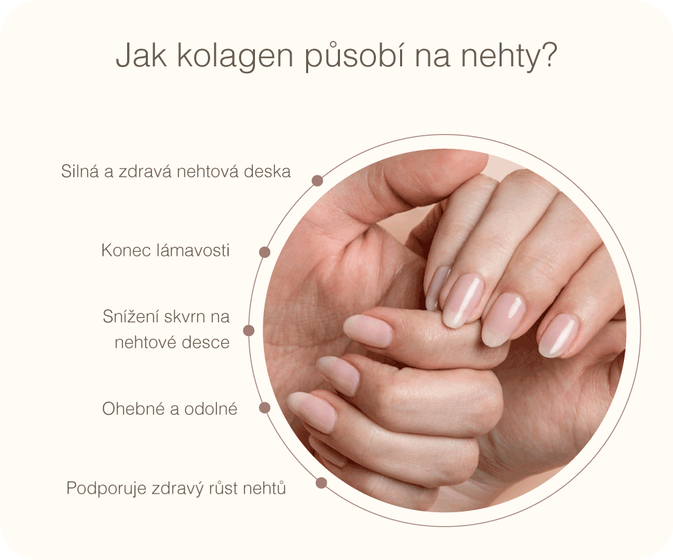 Klinické Studie 7 VERISOL ZLEPSUJE RUST A ODOLNOST NEHTU